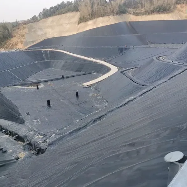 জিওমেমব্রেন লাইনার