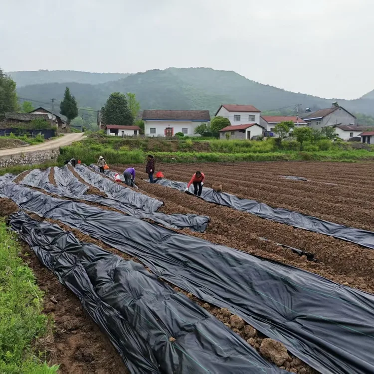 PE Woven Weed Barrier Fabric