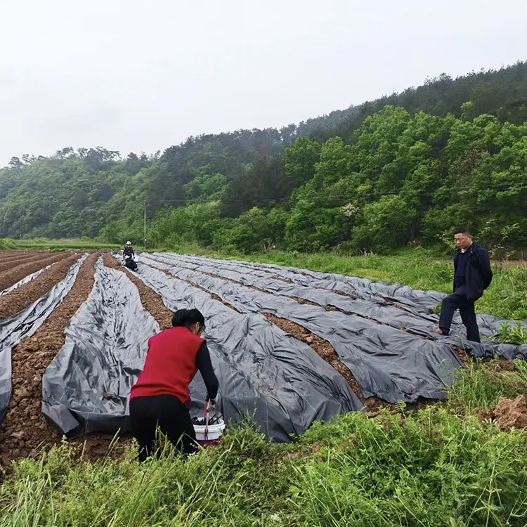 UV Resistant Landscape Fabric