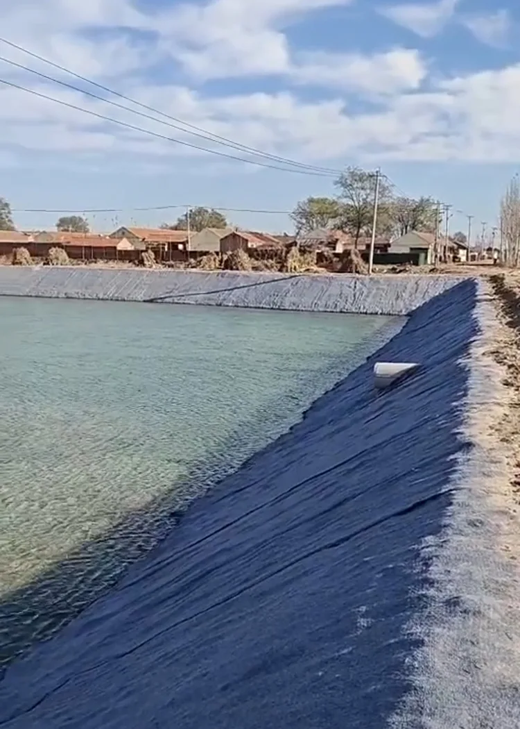 Aquaculture Pond Concrete Blanket
