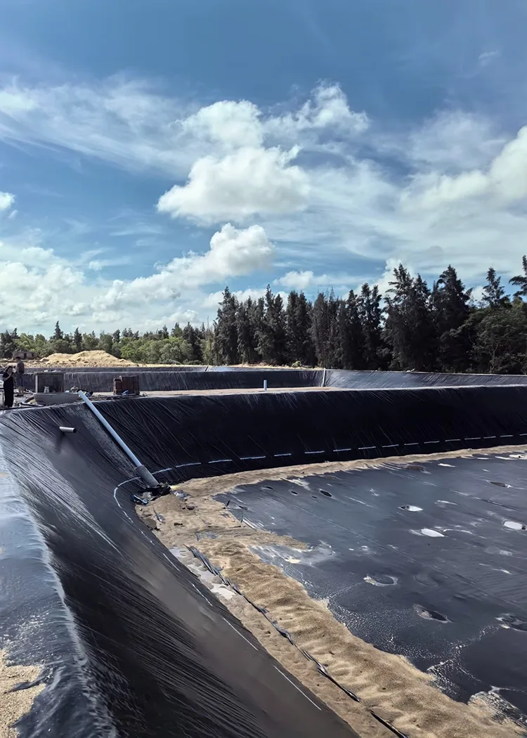UV Resistant Fish Pond Geomembrane