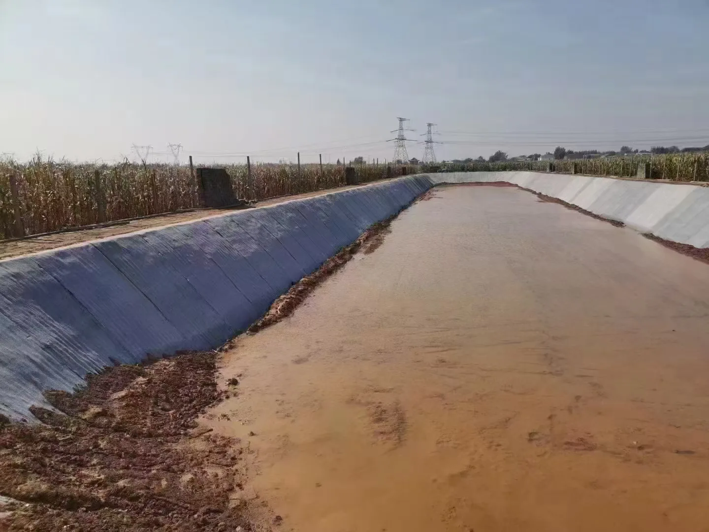 Fish Pond Concrete Blanket